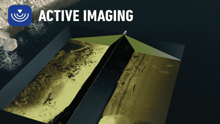Lowrance Active Imaging SideScan und DownScan Ansicht mit hochauflösenden Unterwasserstrukturen (Art.-Nr. 000-14814-001)